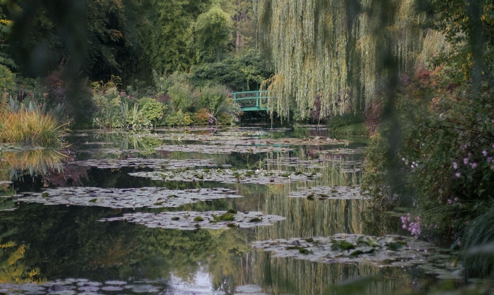 Photo of Monet's Garden at Giverny, France