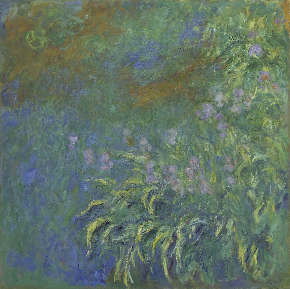 Irises, 1926 by Claude Monet