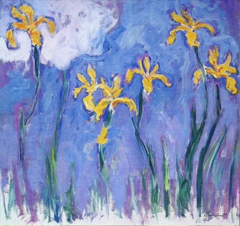 Yellow Irises, 1924 by Claude Monet